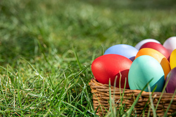 Multi-colored Easter eggs in a basket on the grass, the background is blurred, shallow depth of field, selective focus. Easter holiday concept