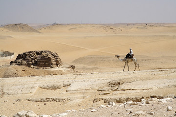 
The desert of Giza in Egypt - obrazy, fototapety, plakaty