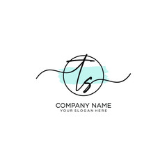 TS initial Handwriting logo vector template