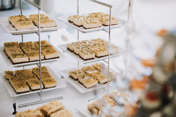 group of classical cake Slices Served at a retro vintage wedding party