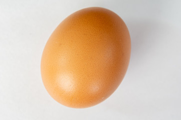 Egg on White Background
