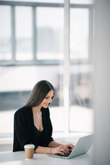 Beautiful businesswoman working on lap top. Young happy woman in office.