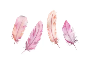 Papier Peint photo Plumes Watercolor drawing feather's set. Isolated images on white background. For decoration, cards, invitations, textile, t-shirts