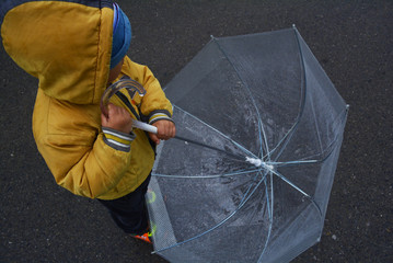 a small boy went for a walk with an umbrella in rainy weather