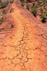 Bodenerosion auf La Gomera oberhalb von Agulo am Mirador de Abrante