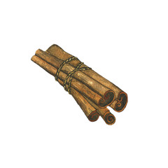 Aquarelle dried cinnamon sticks tied with a rope isolated on white background. Watercolor hand drawn illustration of organic spice from tree bark. Cinnamon pile.