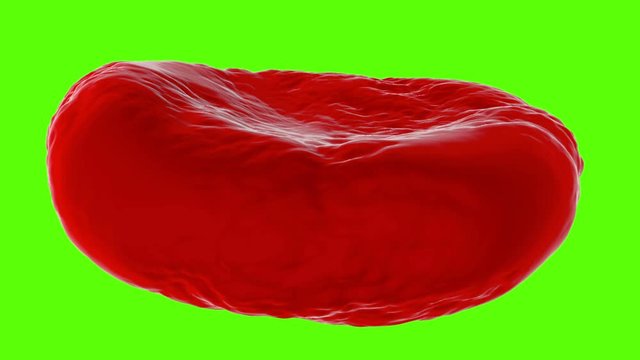 Red blood cells, erythrocyte. Close-up. Green screen footage