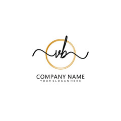 VB initial Handwriting logo vector template