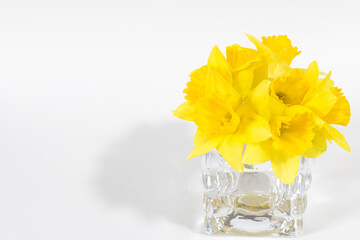 A bouquet of yellow daffodil flowers in a glass vase on a white background
