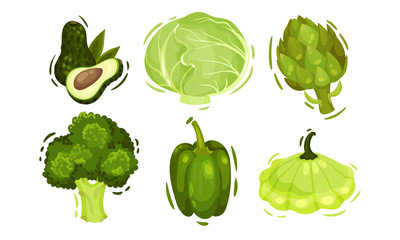 Raw Healthy and Vitaminic Green Vegetables with Cabbage and Bell Pepper Vector Set
