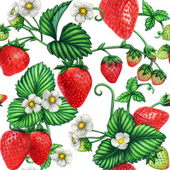 Watercolor strawberries big seamless pattern
