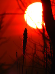 wschód słońca © Krzysztof