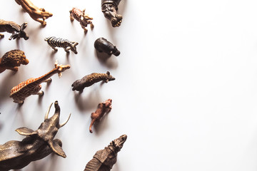 Group of animals toys isolated over white background. animals toys.