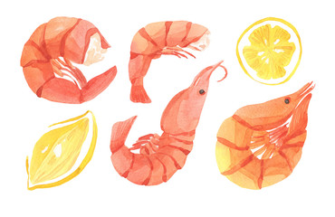 Watercolor set with shrimp and lemon on a white background