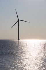 Offshore-Windkraftanlage an der Küste vom IJsselmeer