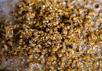 Malt close up