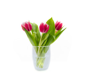 Bouquet of pink tulips in a transparent, glass vase on a white background. 
