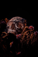 halloween skull in the forest