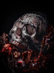 scary halloween skull