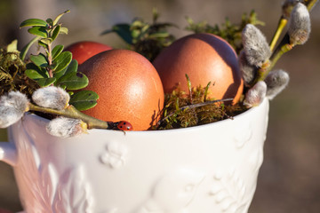 colored eggs in snow-white mugs decoration for Easter