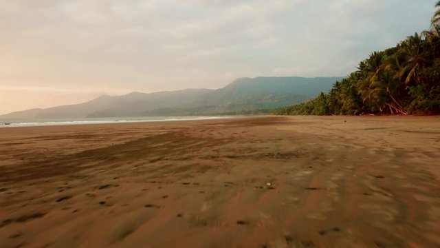 Aerial Drone view of beach in Costa Rica with rain forest and palm trees at the Marino Ballena National Park in Uvita