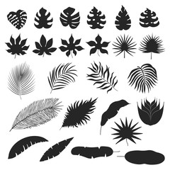 Fototapeta na wymiar Hand drawn tropical leaves silhouettes and outlines. Palm, banana, monstera leaf. Vector isolated tropic elements for summer design.
