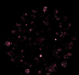 Colorful fireworks on the black sky background.