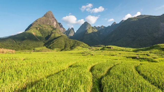 timelapse of green rice terrace fields with moving clouds and the beautiful mt.fansipan at the background, chu va, Vietnam.  