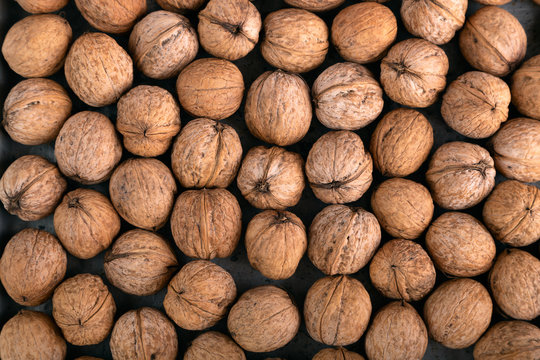 Walnuts On The Table, Overhead