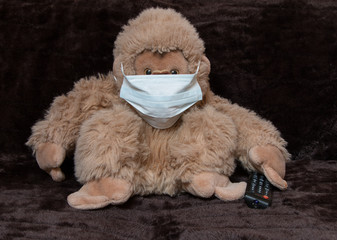 soft toy monkey in a medical mask with TV remote control