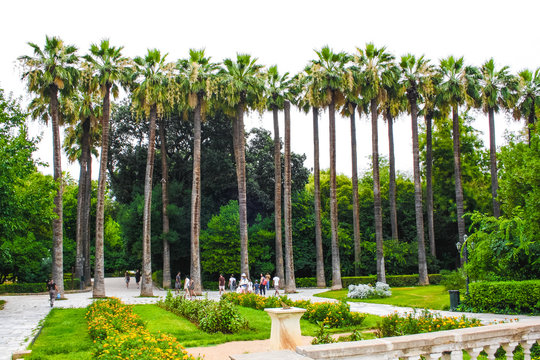Beautiful green nature in the park in Athens, Greece