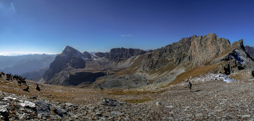 mountain landscape with ibex