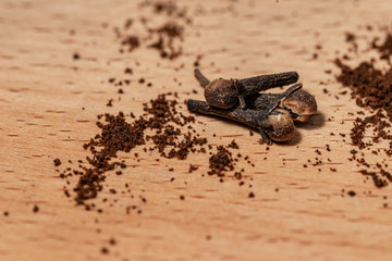 Broken coffee powder and clove grains, on wooden background