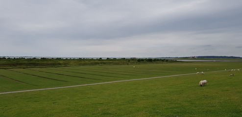 Nordsee Landschaft