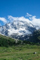 Fototapeta na wymiar snow slopes of the mountains of the North Caucasus in summer