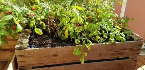 Balkonkreativit&auml;t