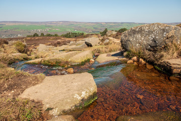 landscape of the river