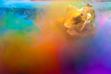 Colorful watercolor drops in the water with white lotus flowers