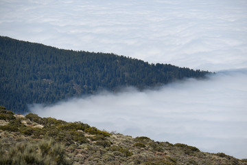 Obraz premium Espagne, Tenerife, Parc National du El Teide. La vue au dessus des nuages à 2000 mètres
