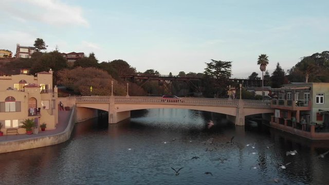 Seagulls flying above a bridge in a town.