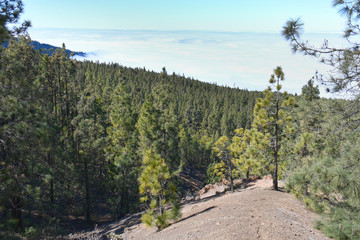 Espagne, Tenerife, La vue au dessus des nuages, parc national du El Teide, route TF24