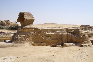 
Sphinx of Giza in Egypt - obrazy, fototapety, plakaty