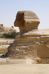 
Sphinx of Giza in Egypt - obrazy, fototapety, plakaty