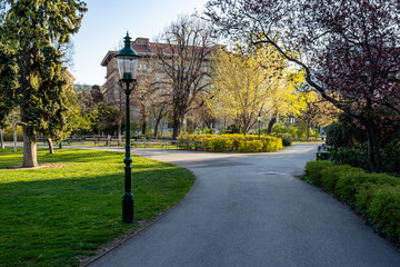 Empty streets of Vienna city center