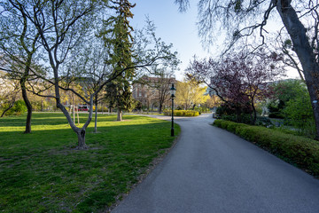 Empty streets of Vienna city center