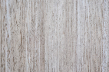 Wood wall background or texture. Natural pattern wood background