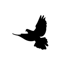 Silhouette of a dove on a white background. Love and peace sign.