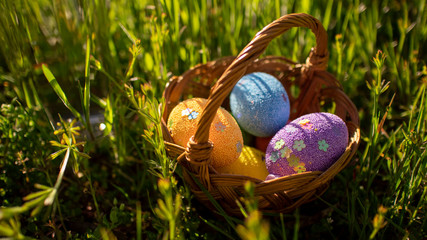Happy easter. Colorful  Easter eggs hidden in the green grass. Easter egg hunt for kids. 