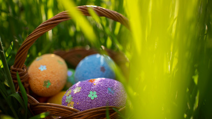 Happy easter. Colorful  Easter eggs hidden in the green grass. Easter egg hunt for kids. 