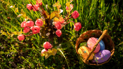 Happy easter. Colorful  Easter eggs hidden in the green grass with beautiful flowers. Easter egg hunt for kids. 